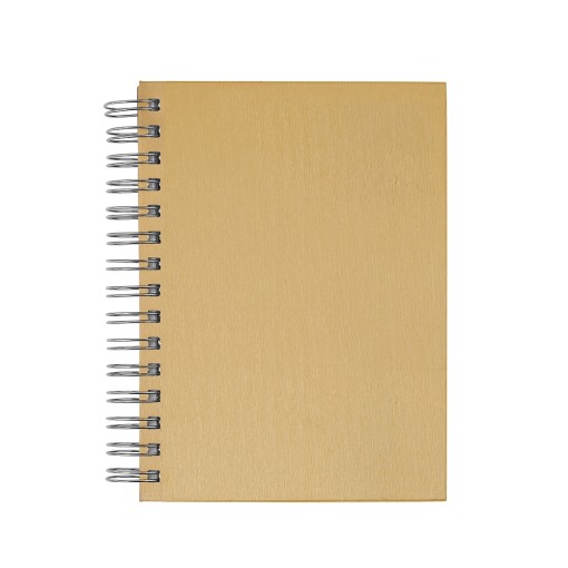 Agenda Diária 2025 Promocional