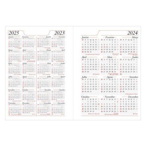 Agenda diária 2025 Personalizada 