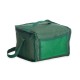 Bolsa Térmica Personalizada com Logo