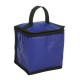 BOLSA TÉRMICA 4L com sua marca