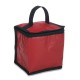 BOLSA TÉRMICA 4L com sua marca
