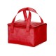 BOLSA TÉRMICA 13L Personalizados